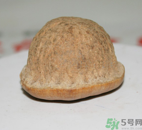 壯陽(yáng)果多少錢一斤？壯陽(yáng)果真的有效果嗎？