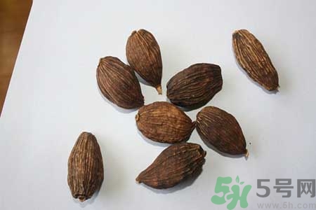 草果是什么？草果的功效與作用
