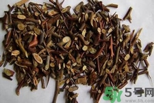 皂角刺的藥用價值是什么？皂角刺的功效與作用有哪些？