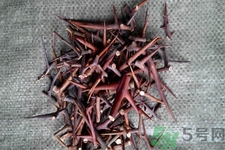 皂角刺的藥用價值是什么？皂角刺的功效與作用有哪些？