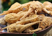 吃瑪卡有副作用嗎？吃瑪卡的副作用及禁忌