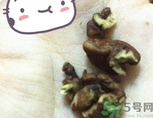 三只松鼠多少錢(qián)一袋？三只松鼠價(jià)格