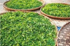 普洱茶怎么保存？茶葉能放冰箱嗎？