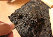普洱茶怎么保存？茶葉能放冰箱嗎？