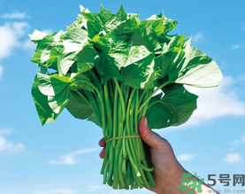 孕婦可以吃地瓜葉嗎？孕婦吃地瓜葉的好處