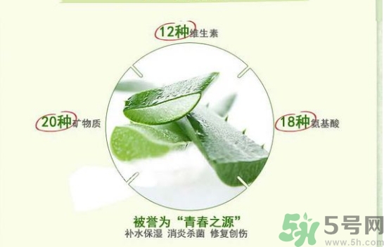 the saem得鮮和自然樂(lè)園哪個(gè)好？得鮮的蘆薈膠和自然樂(lè)園哪個(gè)好？