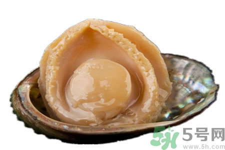 鮑魚如何挑選？鮑魚怎么保存？