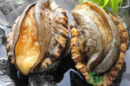 鮑魚的營(yíng)養(yǎng)價(jià)值有哪些？鮑魚的藥用價(jià)值是什么？