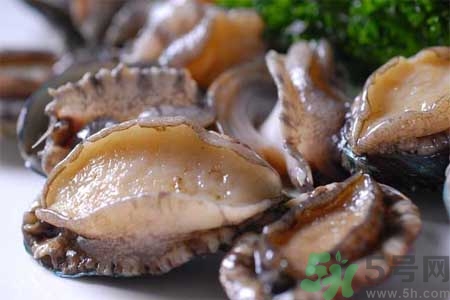 鮑魚的營(yíng)養(yǎng)價(jià)值有哪些？鮑魚的藥用價(jià)值是什么？