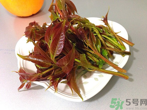 孕婦可以吃香椿嗎？孕婦吃香椿的好處及注意事項(xiàng)