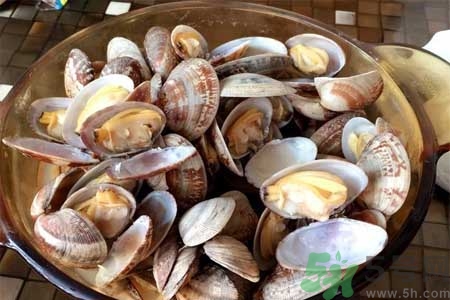 蛤蜊的食用方法有哪些？蛤蜊的營(yíng)養(yǎng)價(jià)值是什么？