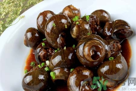 田螺肉怎樣做？田螺的營養(yǎng)價值有哪些？