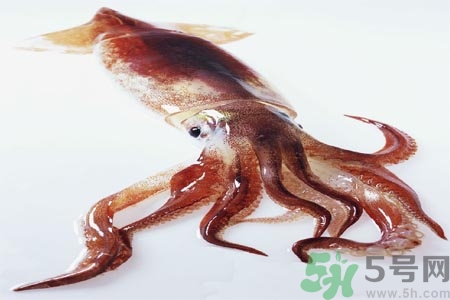魷魚怎么處理？干魷魚怎么泡發(fā)？
