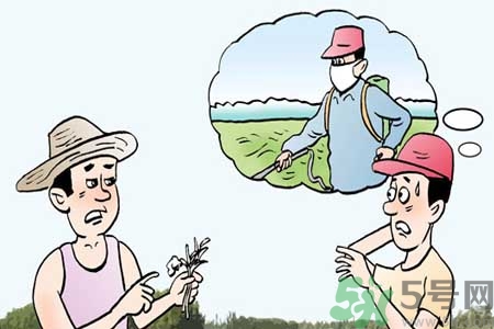 怎么洗掉水果上的農(nóng)藥？農(nóng)藥殘留的危害有哪些？