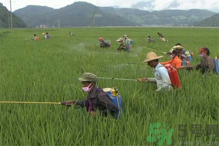 如何去除蔬菜上農(nóng)藥殘留？清洗農(nóng)藥小竅門有哪些？