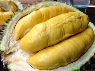 金枕頭榴蓮和普通榴蓮有什么區(qū)別？金枕頭榴蓮怎么挑？