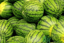 西瓜牛奶可以一起吃嗎？西瓜牛奶怎么做好吃？