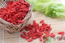 枸杞子泡酒怎么泡？枸杞酒的制作方法是什么？