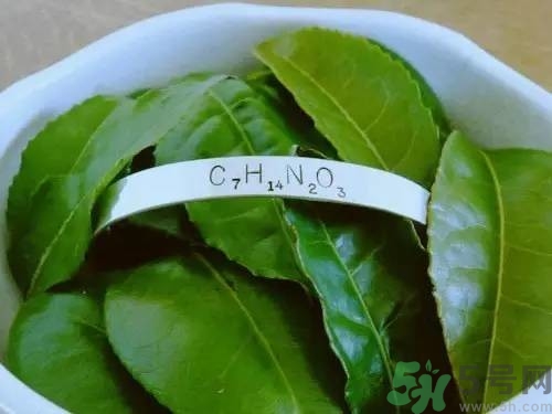 睡眠水為什么可以讓人入睡？可口可樂睡眠水有什么副作用？