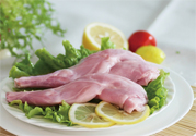 兔肉不能和什么一起吃？什么人不能吃兔肉？