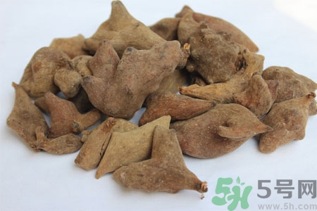 五倍子能治早泄嗎？五倍子的副作用有哪些？