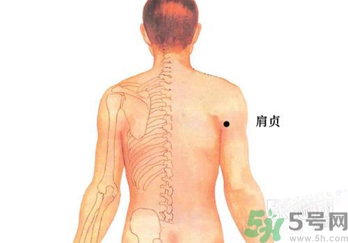 肩周炎艾灸有用嗎？肩周炎艾灸哪些部位？