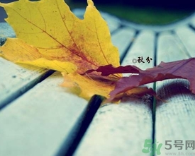 秋分是什么意思？秋分是幾月幾日