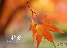 秋分吃什么？秋分吃什么水果？