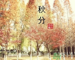 秋分吃什么？秋分吃什么水果？