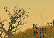 秋分吃什么？秋分吃什么水果？