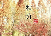 秋分出生的人怎么起名？秋分出生的人的命運？