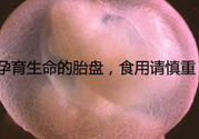 寶寶胎盤怎么處理比較好？?寶寶胎盤的功效與作用