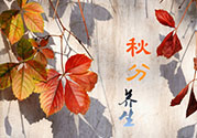 秋分喝什么茶？秋分養(yǎng)生茶飲推薦