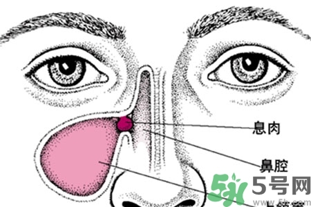 鼻子不通氣是怎么回事？鼻子不通氣怎么辦？