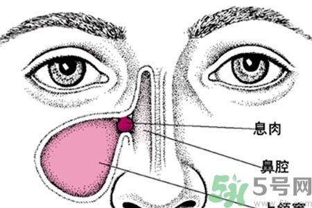 鼻子不通氣吃什么藥？鼻子不通氣的九個(gè)小妙招
