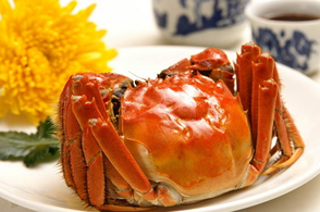 螃蟹什么季節(jié)最好吃？螃蟹幾月份吃最好？