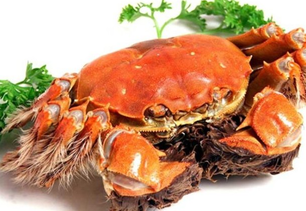 螃蟹什么季節(jié)最好吃？螃蟹幾月份吃最好？