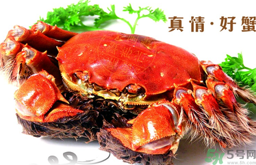 螃蟹什么時(shí)候吃最好？吃螃蟹的最佳時(shí)間 