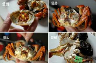 陽(yáng)澄湖大閘蟹怎么吃？食陽(yáng)澄湖大閘蟹注意事項(xiàng)