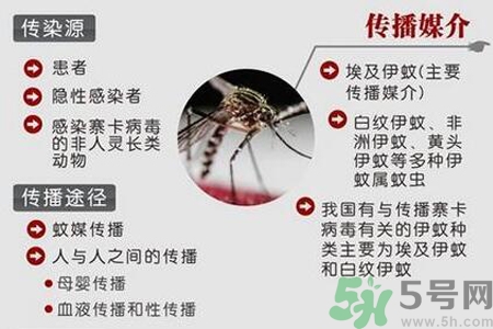 寨卡病毒是如何傳播的？寨卡病毒傳播途徑是什么？