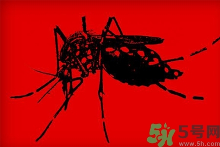 寨卡病毒會(huì)死人嗎？寨卡病毒會(huì)死嗎？