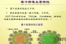 寨卡病毒可以治愈嗎？寨卡病毒如何治愈？