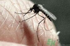 寨卡病毒對(duì)兒童的影響有哪些？寶寶如何避免及預(yù)防？