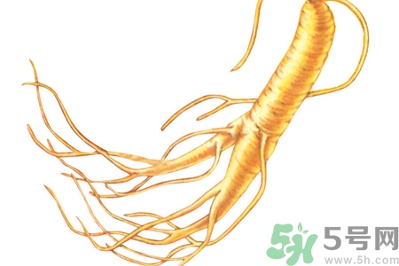 人參怎么吃效果最好？人參的做法大全