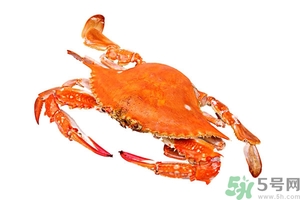 懷孕期間能吃螃蟹嗎？吃螃蟹會(huì)影響懷孕嗎？
