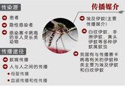 寨卡病毒對兒童的影響有哪些？寶寶如何避免及預(yù)防？