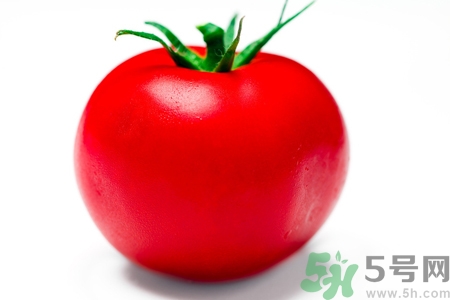 番茄和西紅柿有什么區(qū)別？番茄和西紅柿一樣嗎？