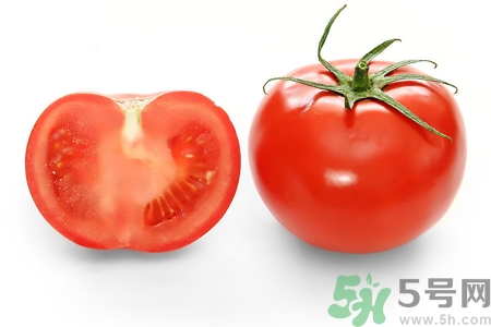 番茄和西紅柿有什么區(qū)別？番茄和西紅柿一樣嗎？
