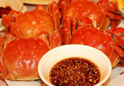 陽(yáng)澄湖大閘蟹死了還能吃嗎？陽(yáng)澄湖大閘蟹死了為什么不能吃？