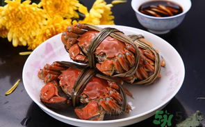 海蟹什么時候最肥？海蟹什么時候吃最好？